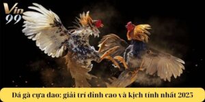 Đá gà cựa dao: giải trí đỉnh cao và kịch tính nhất 2025