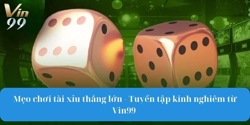 Mẹo chơi tài xỉu thắng lớn - Tuyển tập kinh nghiêm từ Vin99